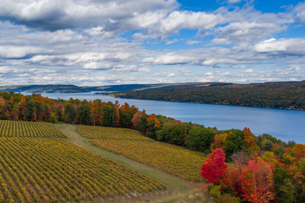 Fall Finger Lake NY